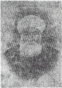 محمدتقی بافقی