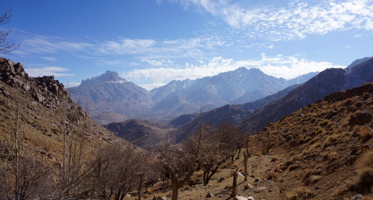 شیرکوه یزد